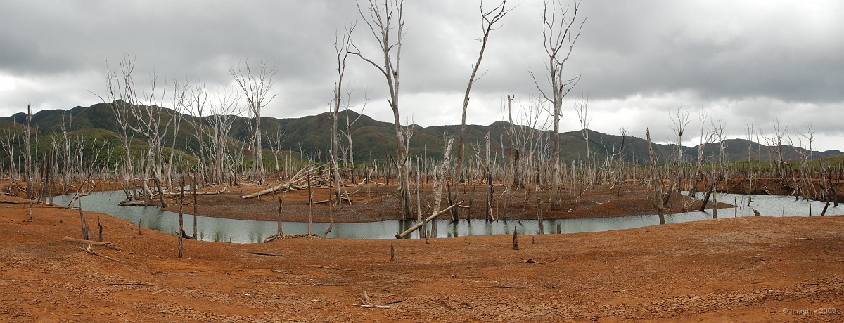 10.84- Au bord de la riviere de la foret noyee.JPG